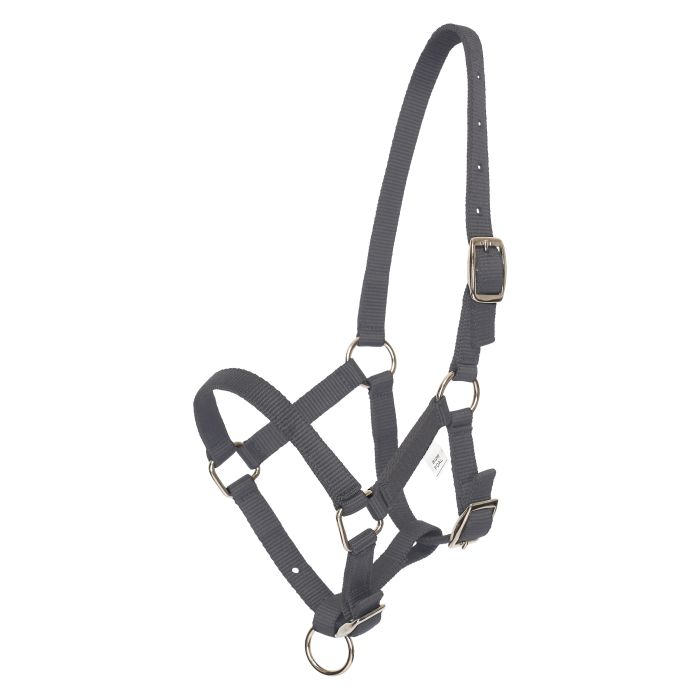 Headcollar foal HVPNena - 7120 - Cloud grey