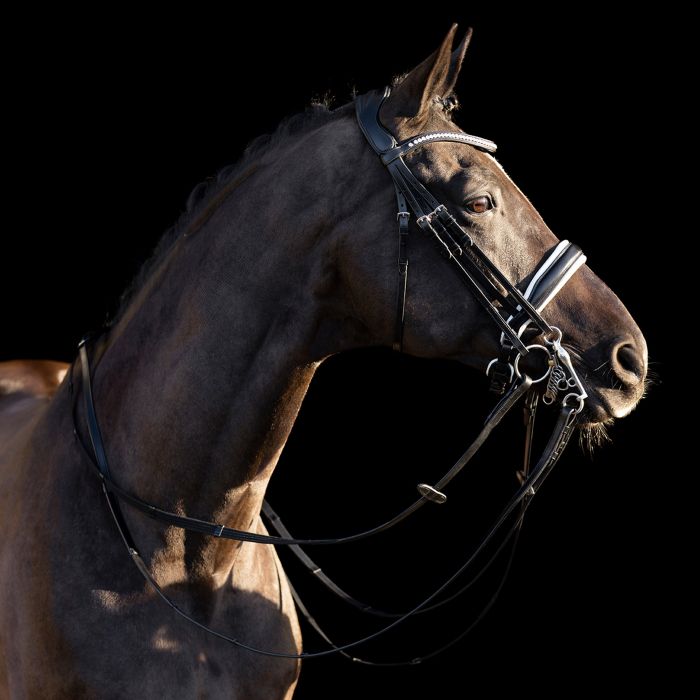 Weymouth bridle HVPLegacy deluxe - 9548 - Black-White