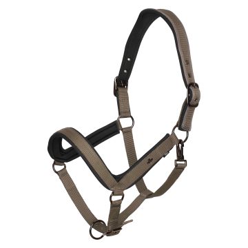 Headcollar HVP-Essential -  Stone
