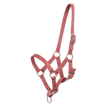 Headcollar foal HVP-Nena -  Blush