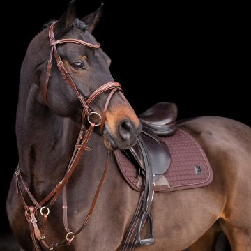 Martingale HVP-Legacy -  Brown