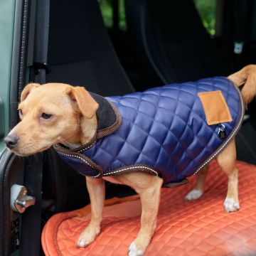 Dog coat HVP-Bobby -  Navy