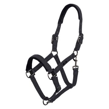 Headcollar HVPFrancis -  Black