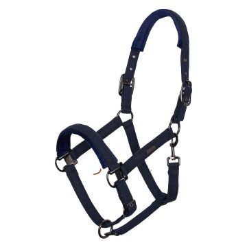 Headcollar HVPFrancis -  Navy