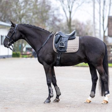 Saddlepad HVP-Dewi dressage -  Stone