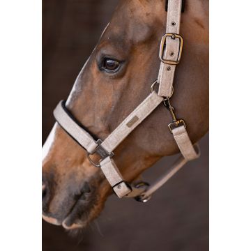 Headcollar HVPFrancis -  Beige