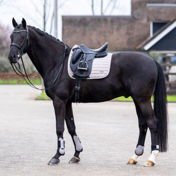Saddlepad HVP-Dewi dressage -  Pebble