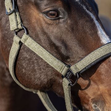 Headcollar HVPFrancis -  Dark oil green