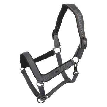 Headcollar HVP-Essential -  Cloud grey 