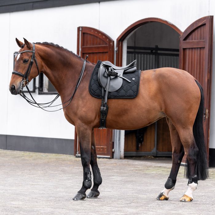 Saddlepad HVPDana DR - 9000 - Black