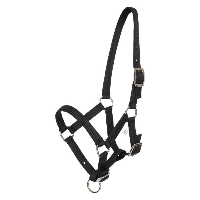 Headcollar foal HVPNena - 9000 - Black