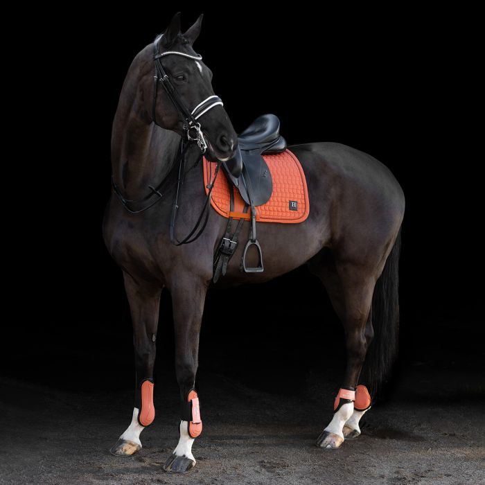 Saddlepad HVPDae DR - 3087 - Ginger Saddlepad HVPDae DR - 3087 - Ginger