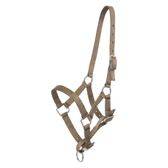 Headcollar foal HVPNena - 8095 - Straw
