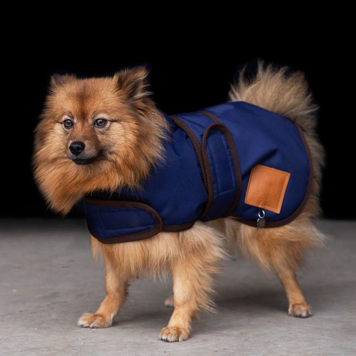 Dog coat HVPPuck - 5001 - Navy