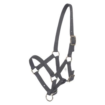 Headcollar foal HVP-Nena -  Cloud grey 