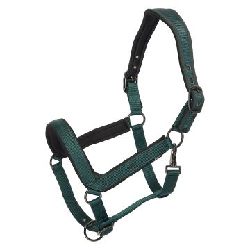 Headcollar HVP-Essential -  Duck green