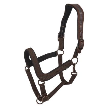 Headcollar HVP-Essential -  Wood