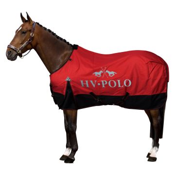 Outdoor blanket HVP-Essential 200gr -  Wood