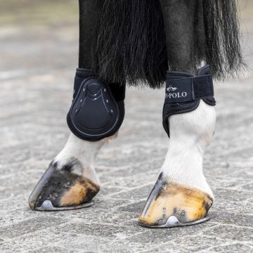 Tendon and fetlock bootset HVP-Classic -  Black