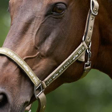 Headcollar HVP-Nena -  Straw