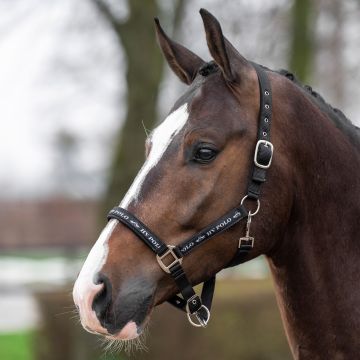 Headcollar HVP-Nena -  Black