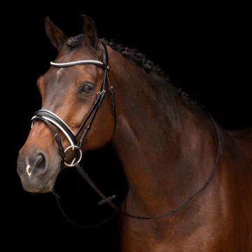 Bridle HVP-Legacy deluxe -  Black-White