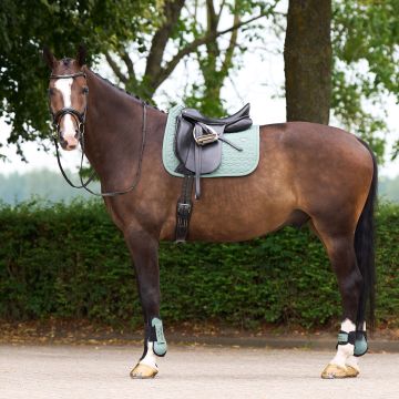 Saddlepad HVP-Essential dressage -  Greenery
