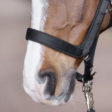 Headcollar HVP-Essential -  Black