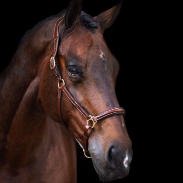 Headcollar HVP-Legacy -  Brown
