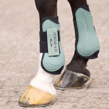 Tendon and fetlock bootset HVP-Classic -  Greenery