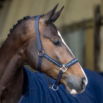Headcollar HVP-Nena -  Navy