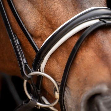 Bridle HVP-Legacy deluxe -  Black-White