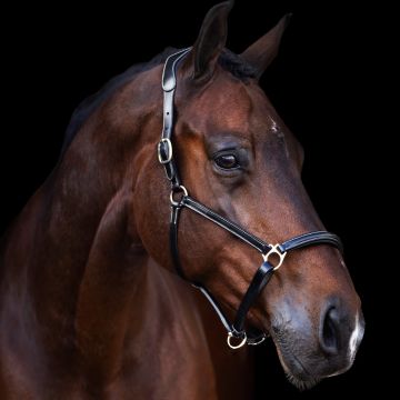 Headcollar HVP-Legacy -  Black