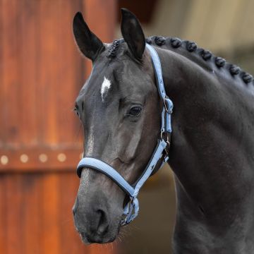 Headcollar HVP-Essential -  Dark mist blue
