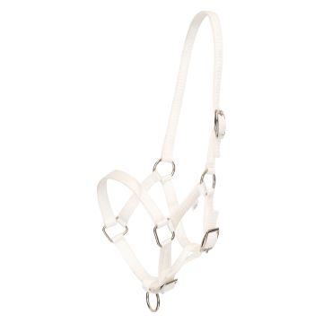 Headcollar foal HVP-Nena -  White 