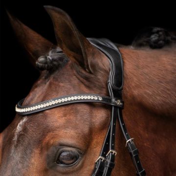 Bridle HVP-Legacy deluxe -  Black-White