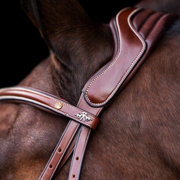Bridle HVP-Legacy -  Brown