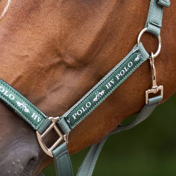 Headcollar HVP-Nena -  Greenery