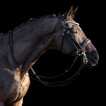 Weymouth bridle HVP-Legacy deluxe -  Black
