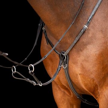 Martingale HVP-Legacy -  Black