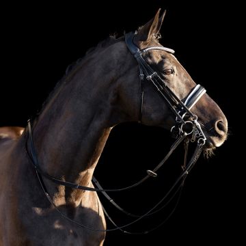 Weymouth bridle HVP-Legacy deluxe -  Black-White
