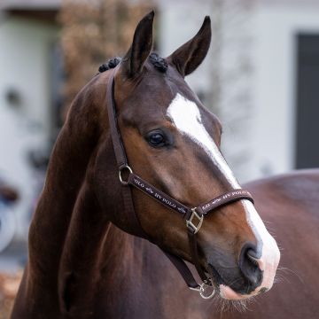 Headcollar HVP-Nena -  Brown