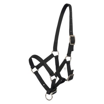 Headcollar foal HVP-Nena -  Black