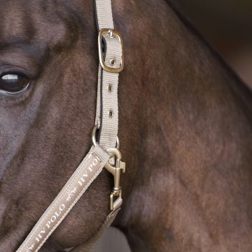 Headcollar HVP-Nena -  Pebble