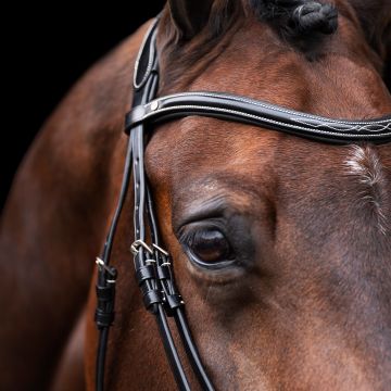 Bridle HVP-Legacy -  Black