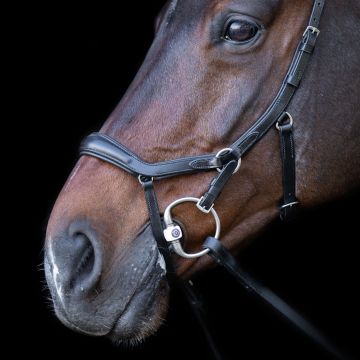 Bridle HVP-Legacy Anatomical deluxe -  Black