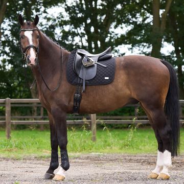Saddlepad HVP-Pro performance dressage -  Black