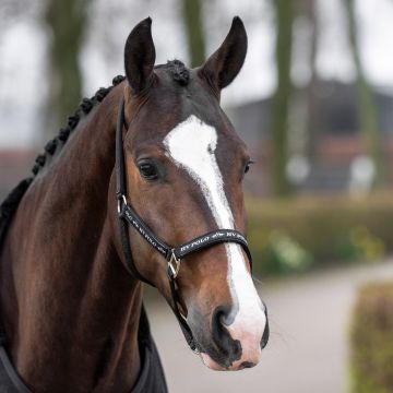 Headcollar HVP-Nena -  Black
