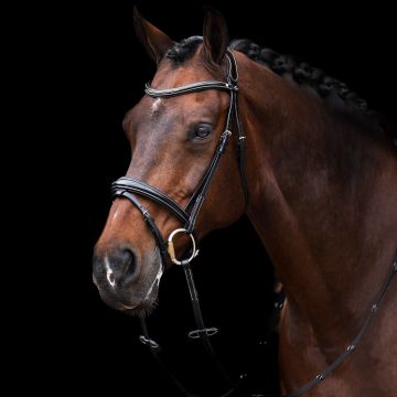 Bridle HVP-Legacy -  Black