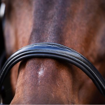 Headcollar HVP-Legacy -  Black